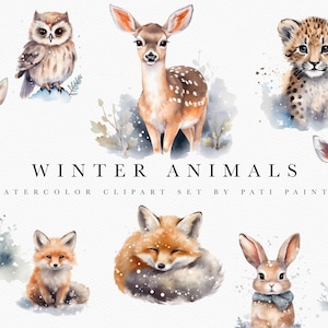 Winter Tiere Clipart Bundle - Aquarell Clipart - Aquarell Tiere Clipart - Weihnachts Clipart - Winter Clipart - Scrapbooking Clipart