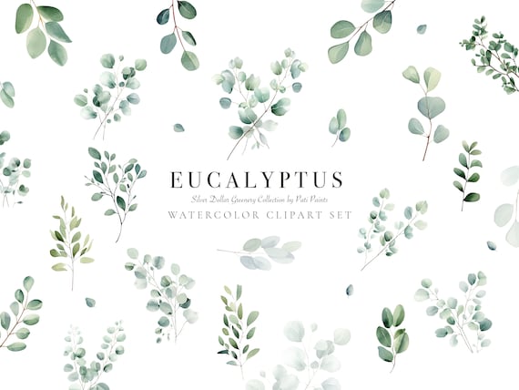 Eucalyptus Clipart Watercolor Set - Botanical Greenery Clipart for Wedding Invitation - Watercolor Eucalyptus Clipart Silver Dollar Greenery