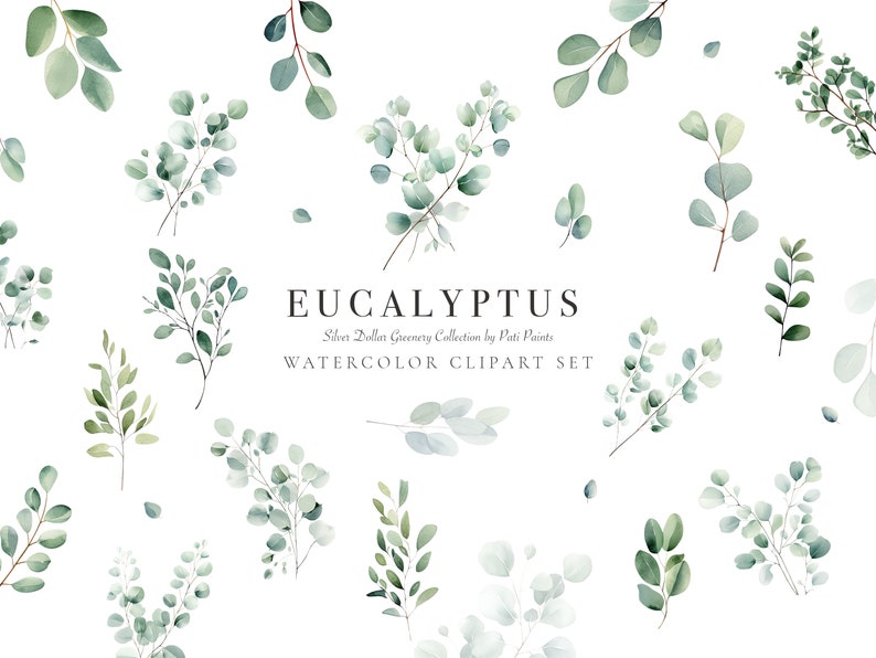 May include: Watercolor clipart set of eucalyptus leaves in shades of green. The set includes various sizes and arrangements of leaves, perfect for adding a touch of nature to your designs.
