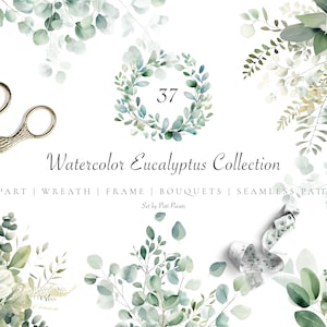 May include: A watercolor illustration set featuring 37 eucalyptus leaves, branches, and wreaths. The set includes clipart, wreaths, frames, bouquets, and seamless patterns. The text "Watercolor Eucalyptus Collection" and "Set by Pati Paints" is included in the image.