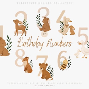 Numéros d'anniversaire Clipart PNG - 12 cliparts de sublimation PNG - aquarelle Woodland anniversaire numéros - premier anniversaire chambre d'enfant - âge Clipart