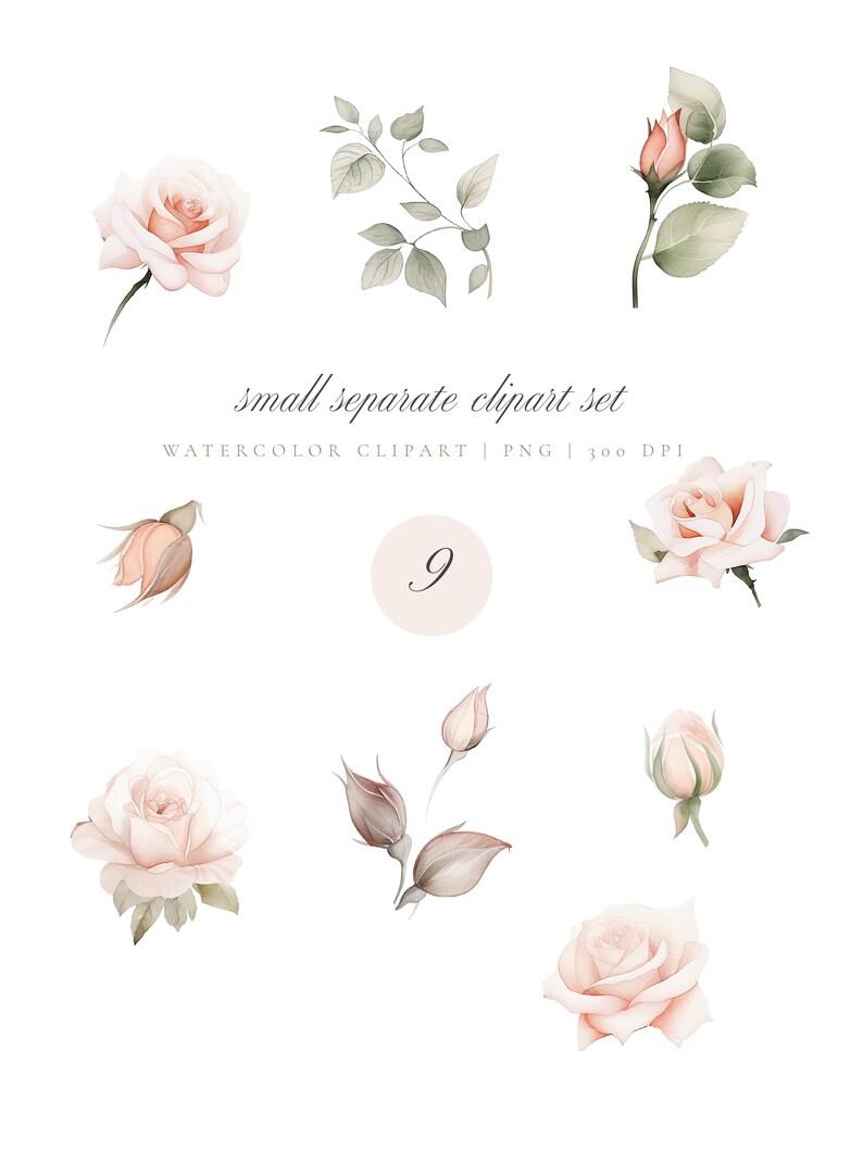 Watercolor Soft Roses Clipart for Wedding Invite Digital Paper - Etsy