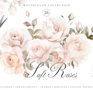 Clipart di rose morbide dell'acquerello per invito a nozze set di carta digitale cornice di rose ghirlanda floreale - rose fard - mazzi di rose preconfezionate leggere