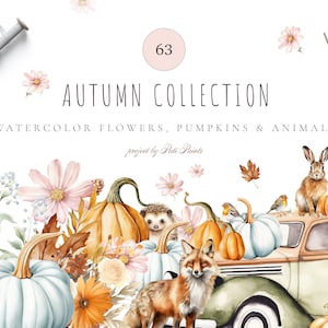 Aquarel herfst digitale clipart - aquarel herfst bloemen clipart - bos dier herfst bloem - aquarel herfst pompoenen - Pine Cone PNG