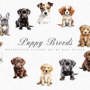 Set di clipart di razze di cuccioli - Clipart digitale per uso commerciale - Supporti misti - Clipart per cani acquerello - Sfondo trasparente - Cucciolo PNG