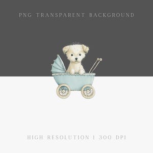 May include: Watercolor illustration of a fluffy white puppy in a light blue vintage baby carriage. The carriage has a sunshade and spoked wheels. The text "PNG TRANSPARENT BACKGROUND" and "HIGH RESOLUTION | 300 DPI" are at the top and bottom of the image.