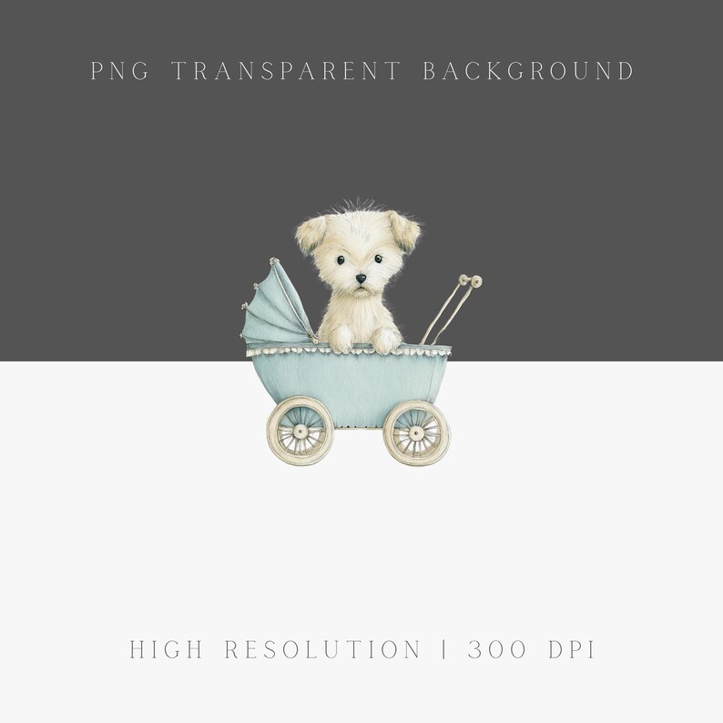 May include: Watercolor illustration of a fluffy white puppy in a light blue vintage baby carriage. The carriage has a sunshade and spoked wheels. The text "PNG TRANSPARENT BACKGROUND" and "HIGH RESOLUTION | 300 DPI" are at the top and bottom of the image.
