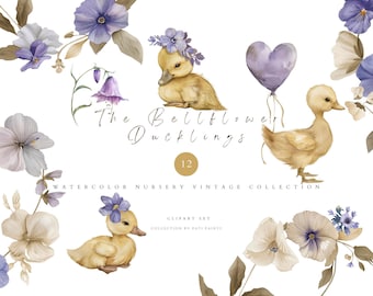 Bellflower Ducklings Clipart - Cute Watercolor Baby Ducks, Pastel Wildflowers Floral Frames - Nursery PNG for Baby Shower & Kids Decor - Art