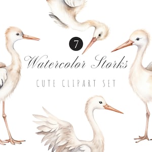 Clipart Cegonha Aquarela - Clipart Recém-Nascido - Cegonha Carregando Bebê - Decoração Berçário - Bebê Boho - Bebê Bem Vindo - Maternidade - Pássaros Aquarela