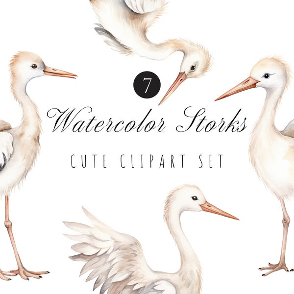 Watercolor Stork Clipart - Newborn Clipart - Stork Carrying Baby - Nursery Decor - Boho Baby - Welcome Baby - Maternity - Watercolor Birds