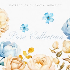 Clipart floral azul bebê claro aquarela - Clipart de flor bege - Clipart de textura dourada - Clipart pré-fabricado - Clipart de casamento - Flores de peônia