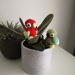 May include: Two crocheted parrot toys in a white planter with a green succulent plant. The parrot on the left is red with yellow and blue accents. The parrot on the right is green with blue and yellow accents.