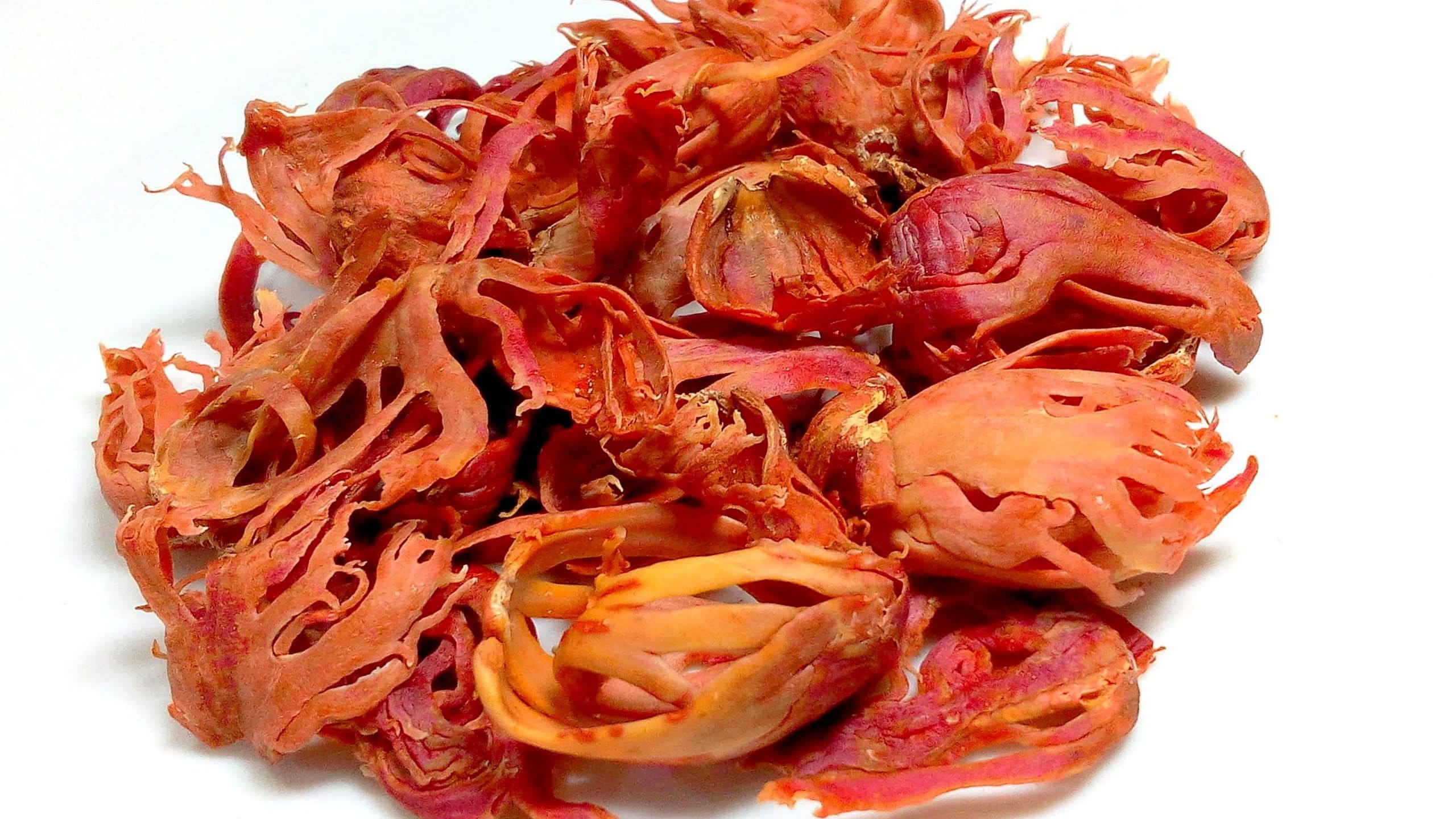 Mace javitri Whole Mace Whole Javitri Phool Sabut Etsy