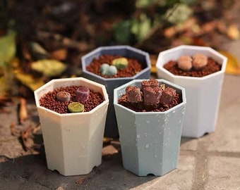 succulent pot / nursery pot /plastic pot