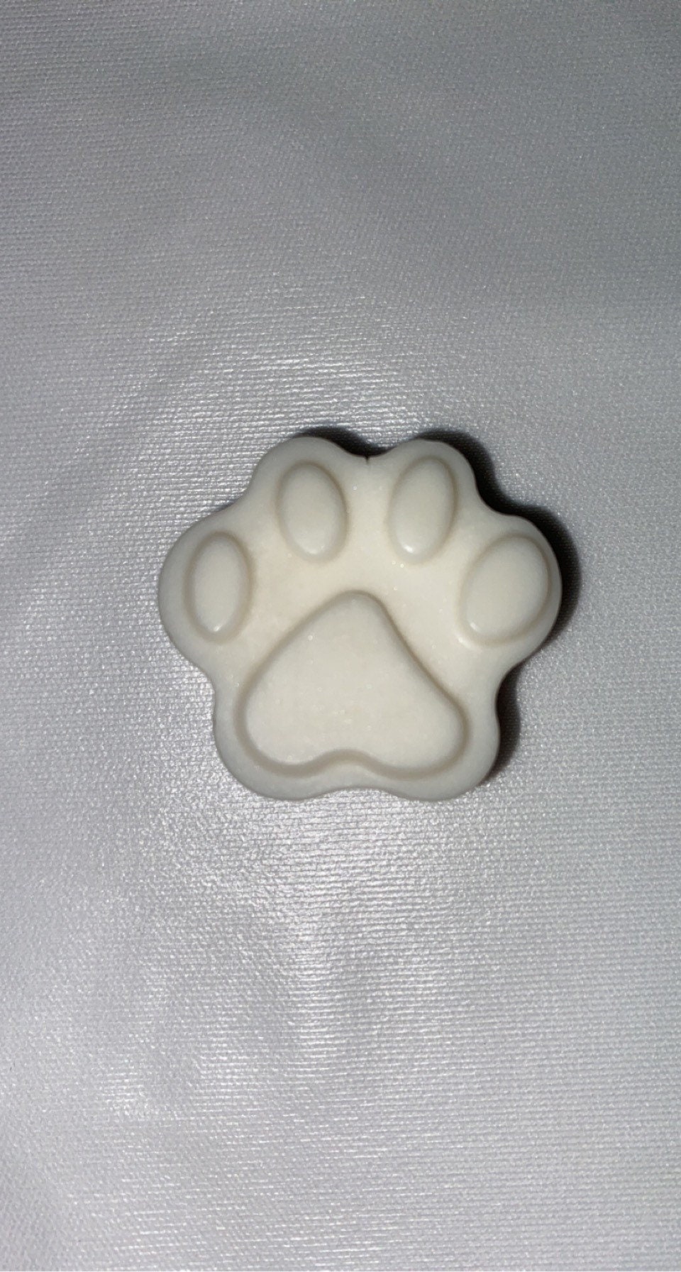 Grosse Patte de Chien