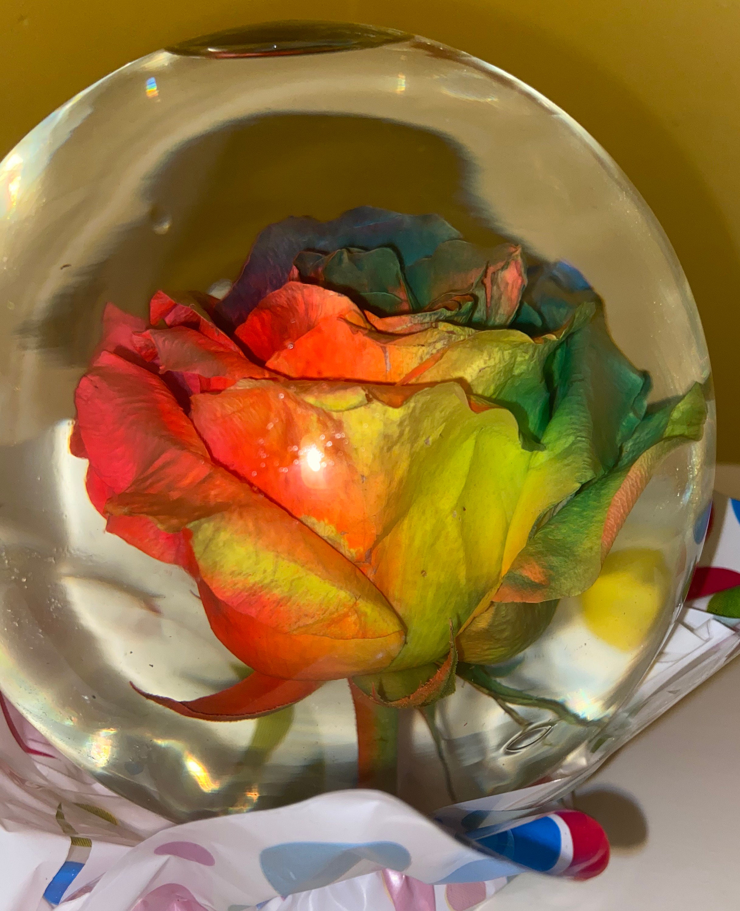Real Rainbow Rose Water Globe Etsy