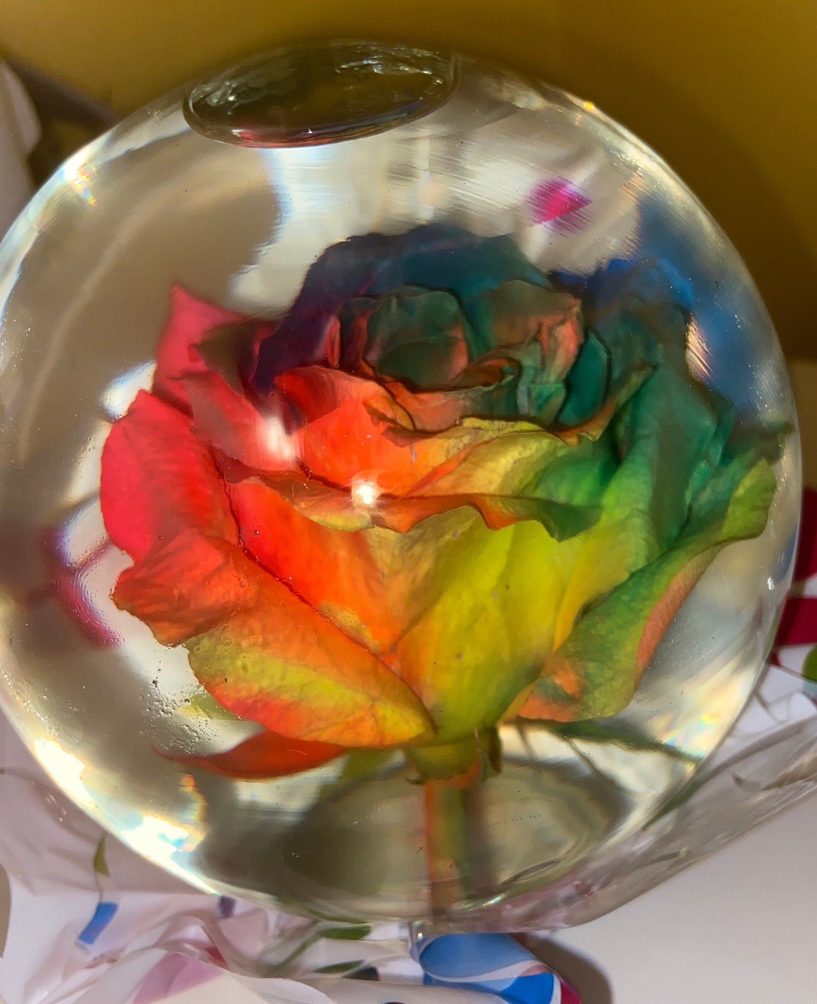 Real Rainbow Rose Water Globe Etsy