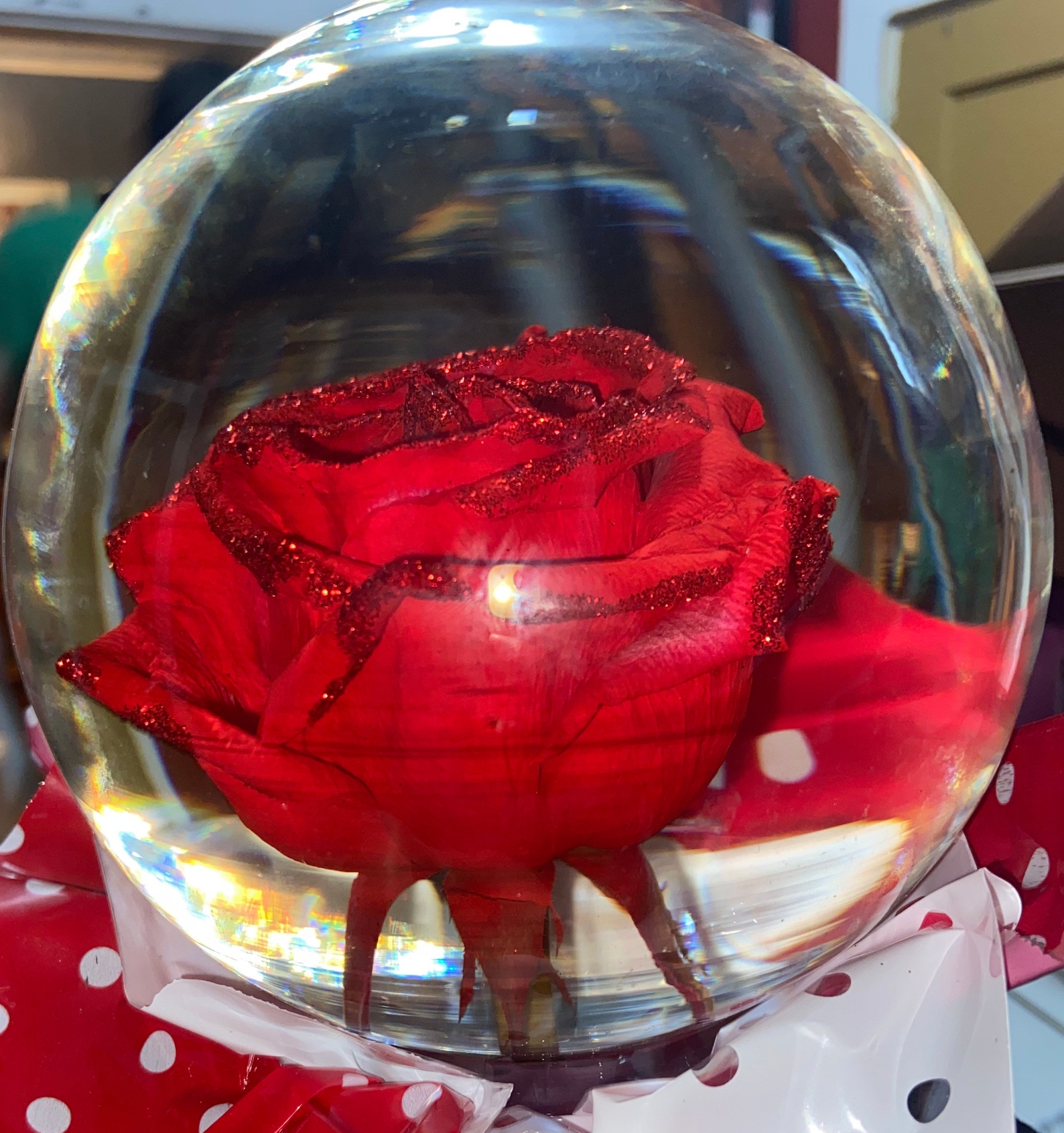 Real Red Rose Water Globe Etsy
