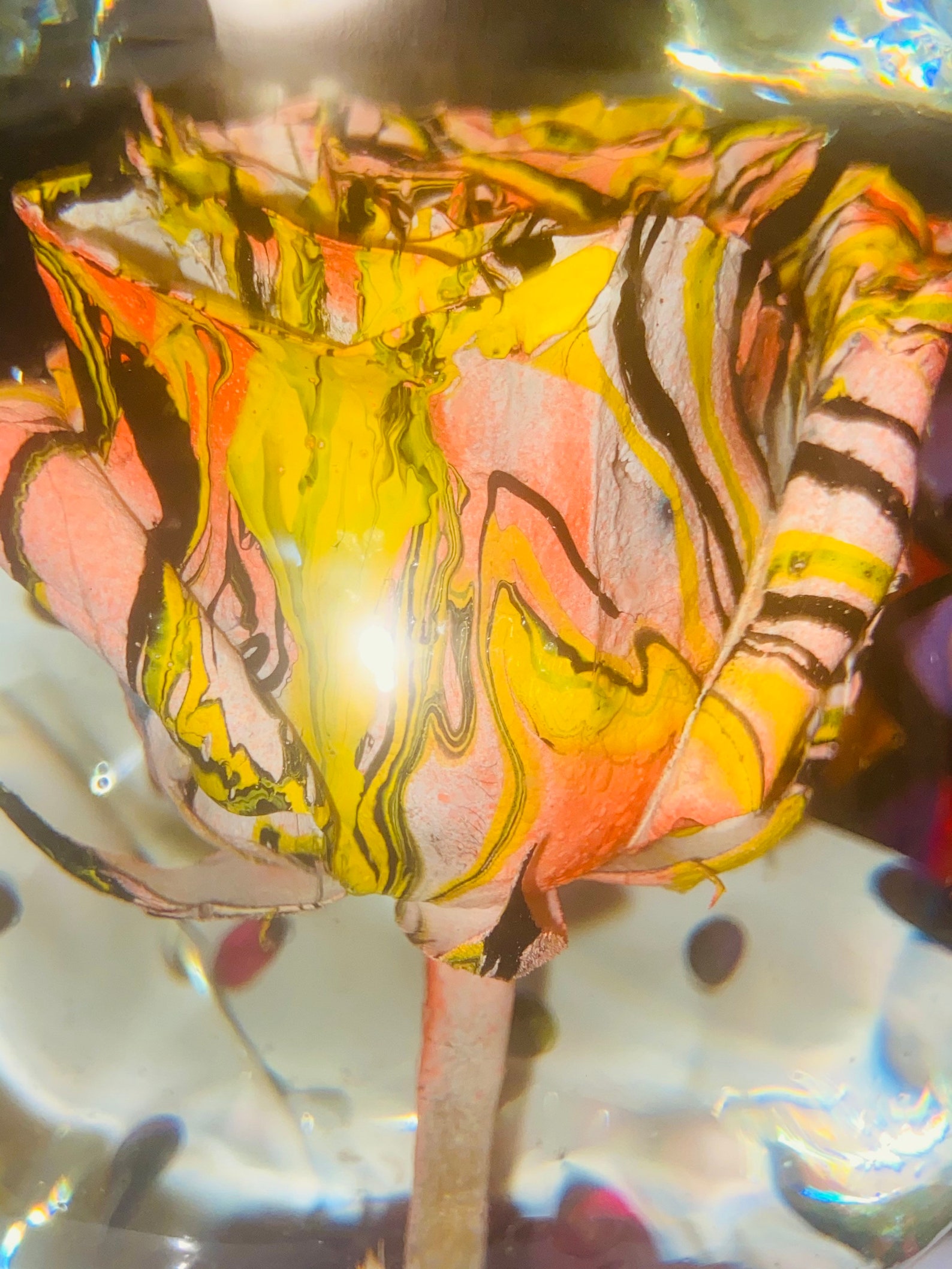 Beautiful Unique Real Rose Water Globe Etsy