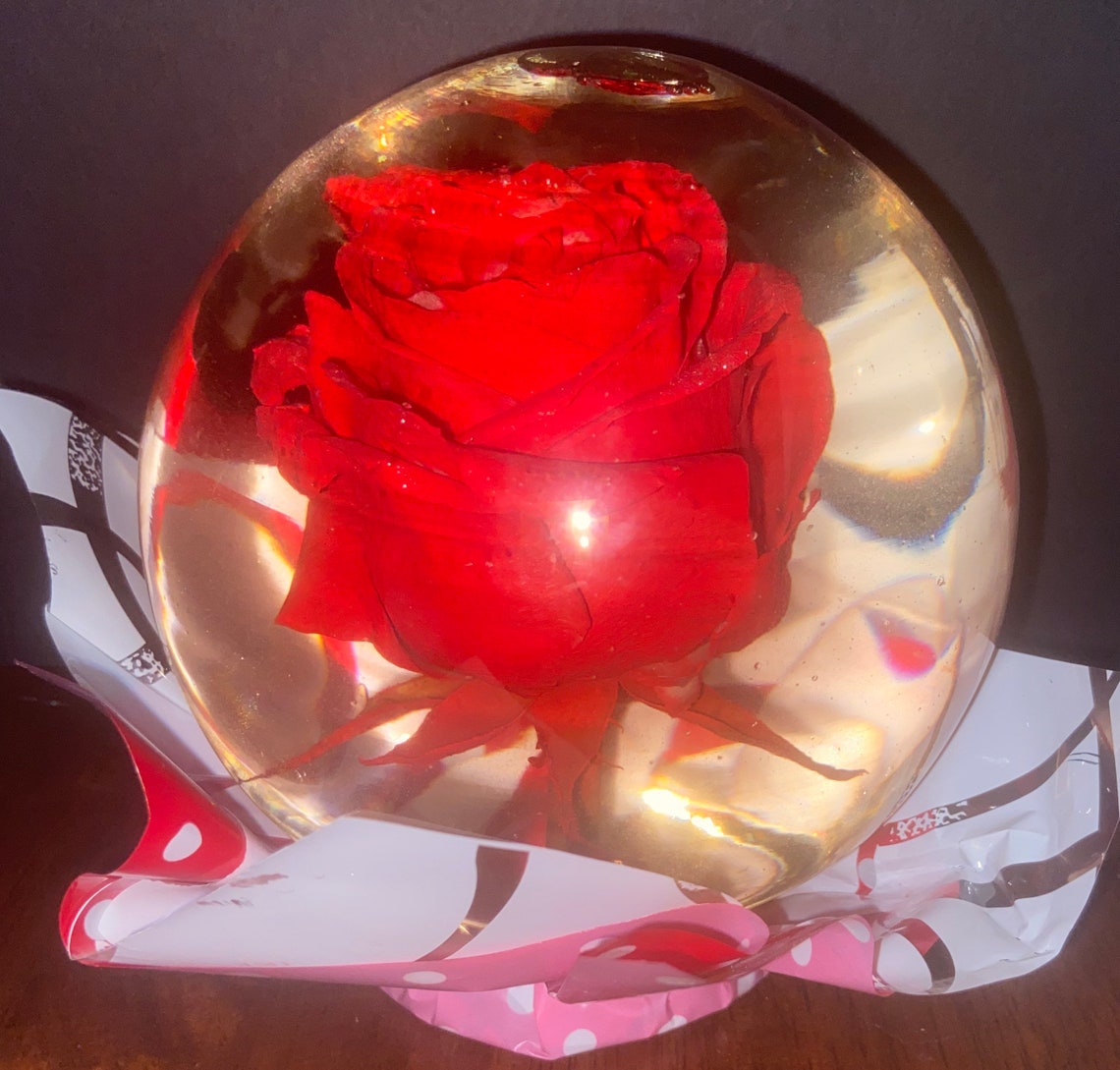 Real Red Rose Water Globe Embellished With Silver Glitter Etsy