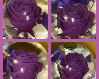 Purple Rose Water Globe - Etsy
