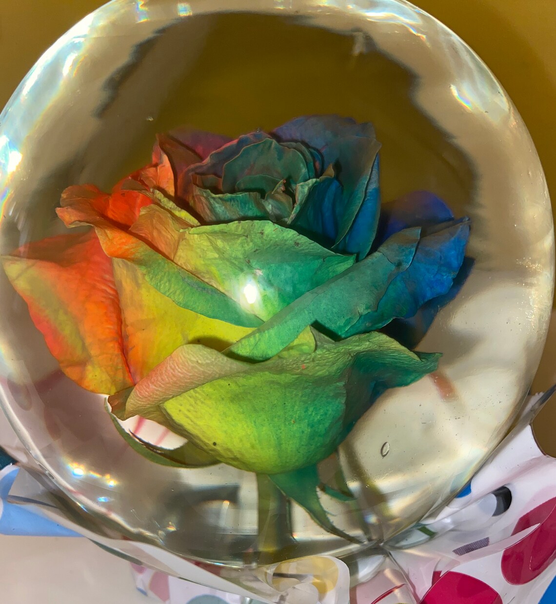 Real Rainbow Rose Water Globe Etsy