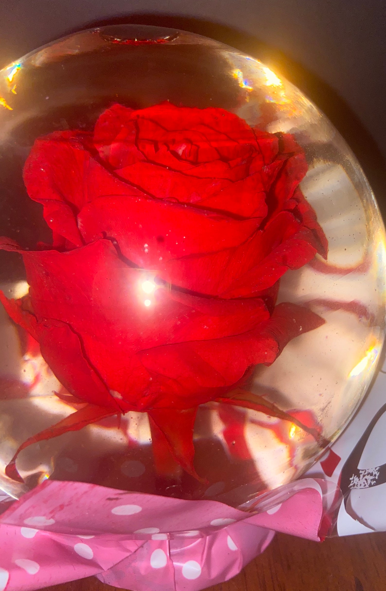 Real Red Rose Water Globe Embellished With Silver Glitter Etsy