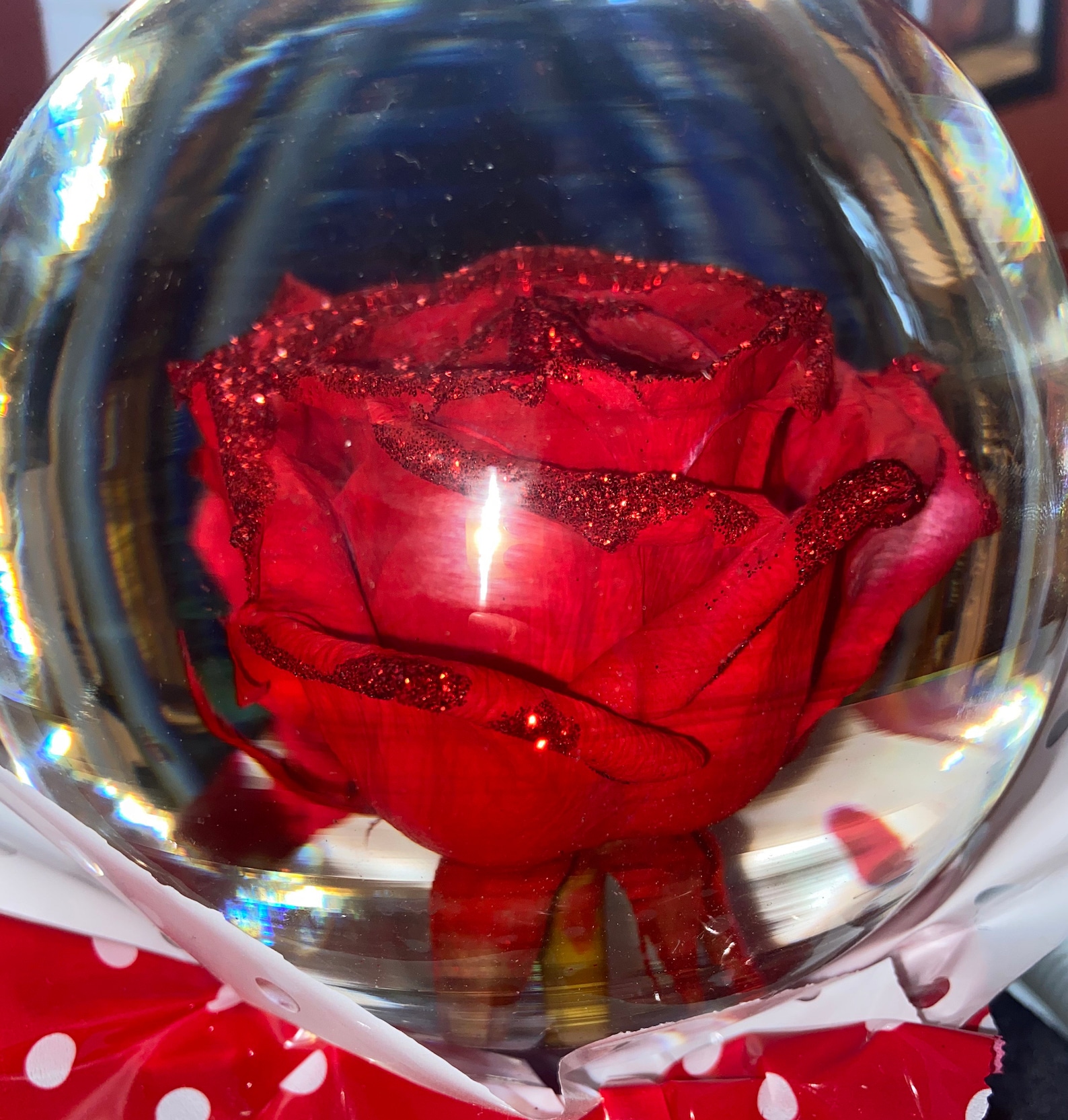 Real Red Rose Water Globe With Red Glitter Great Gift Idea Etsy