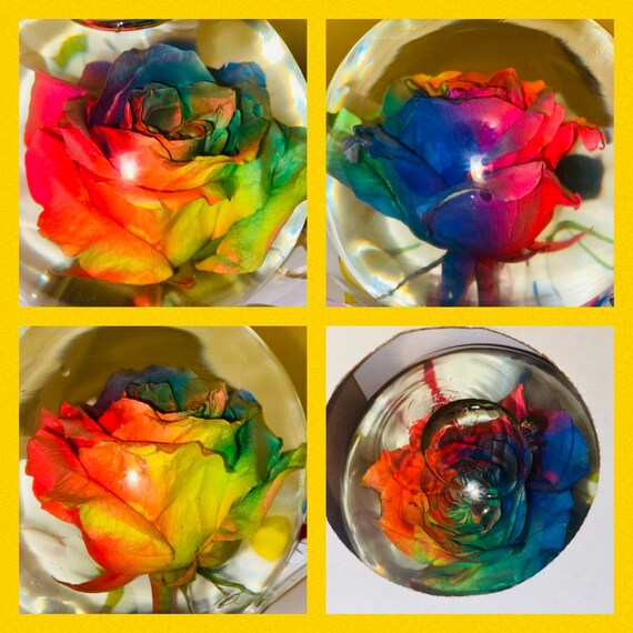Real Rainbow Rose Water Globe Great Gift Idea Perfect for Etsy Australia