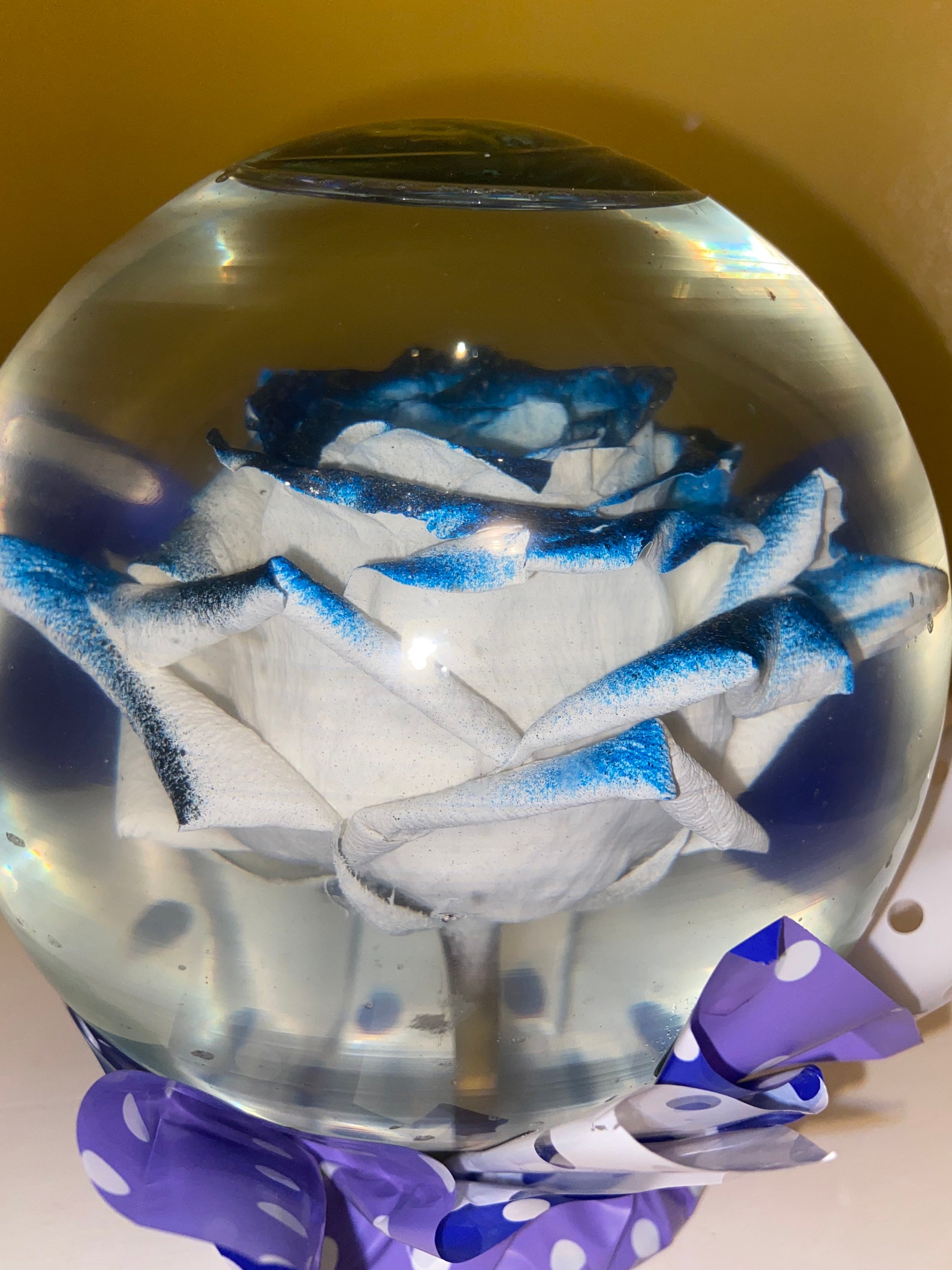Real White & Blue Rose Water Globe Etsy