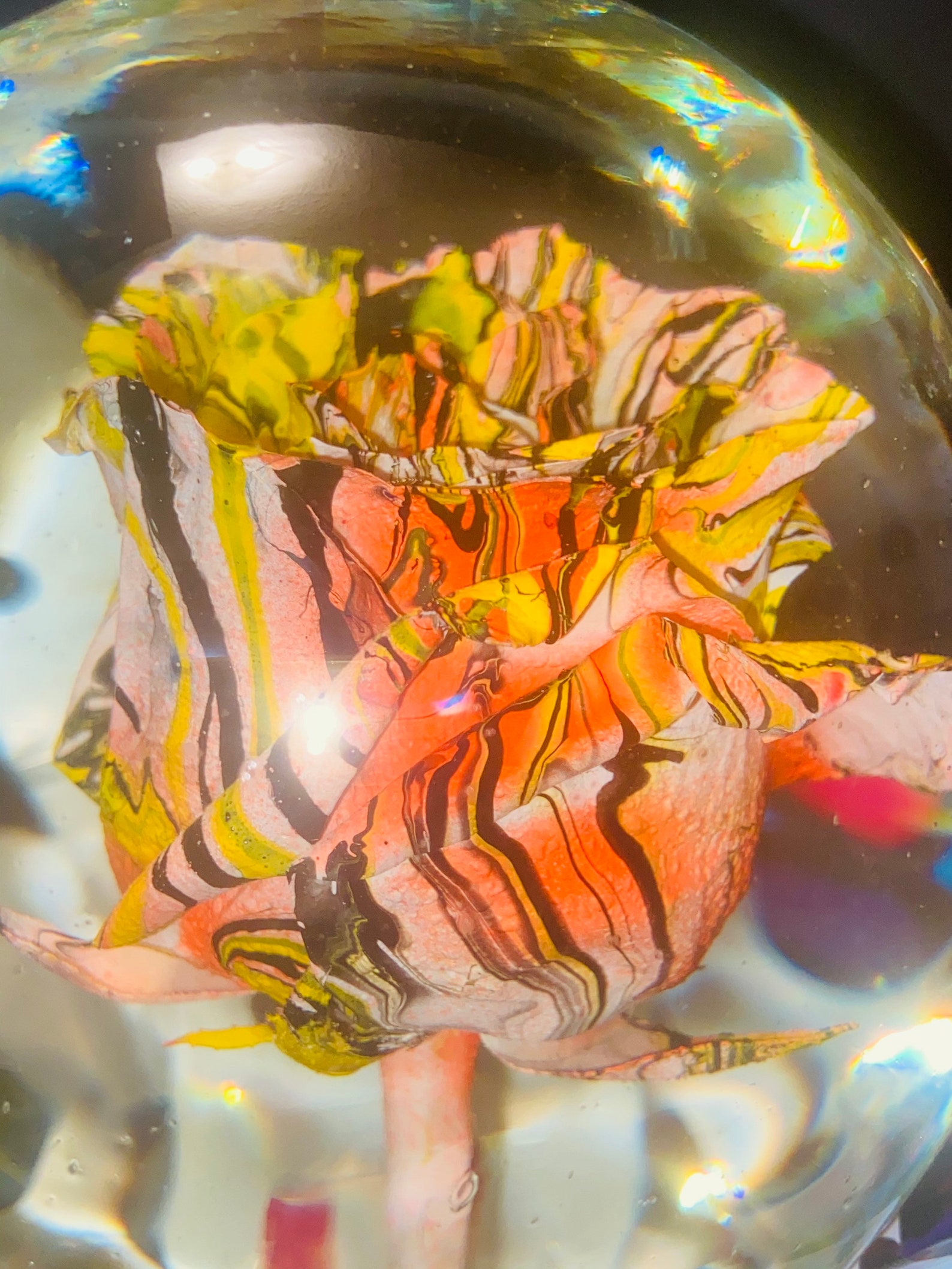 Beautiful Unique Real Rose Water Globe Etsy