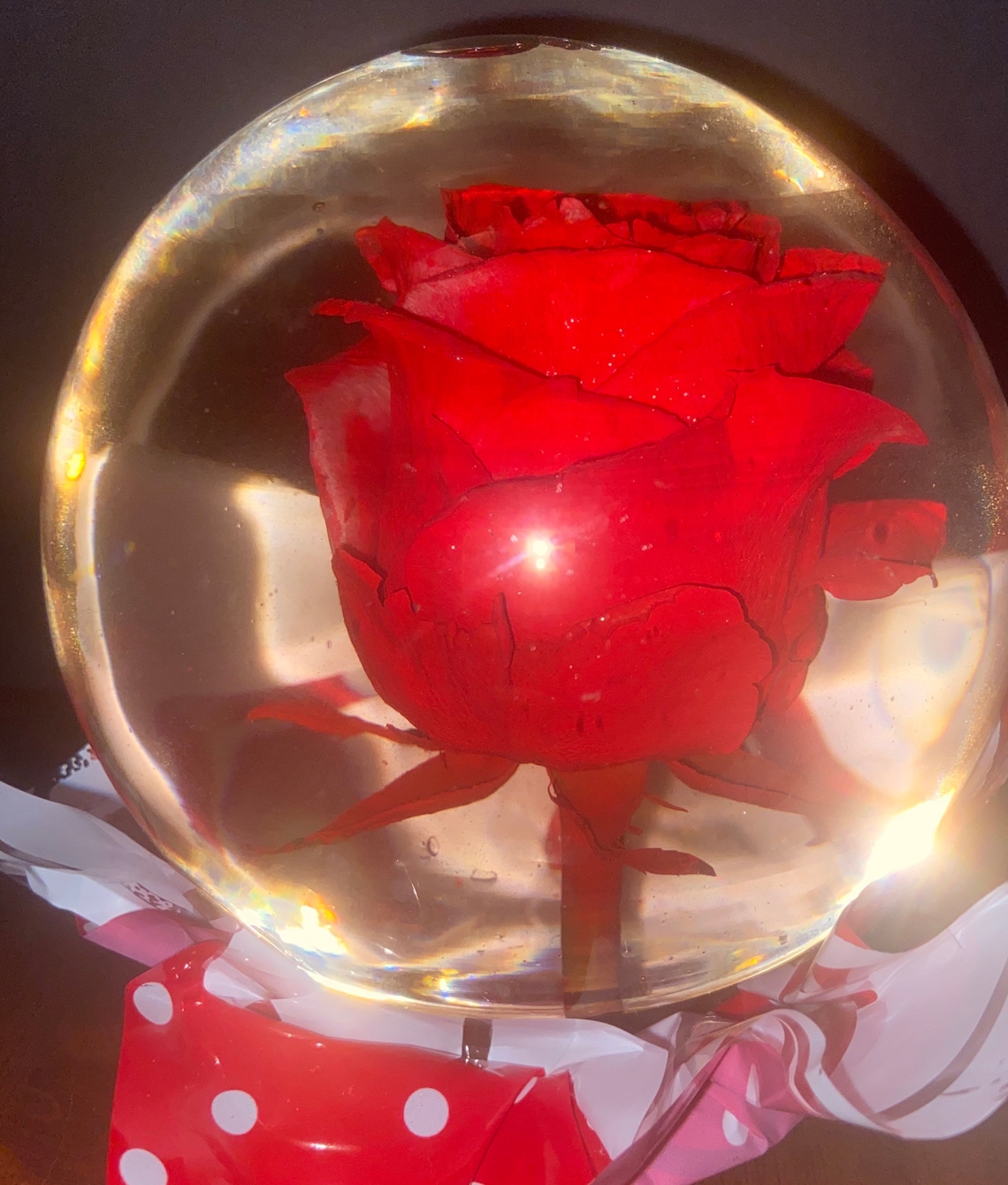Real Red Rose Water Globe Embellished With Silver Glitter Etsy