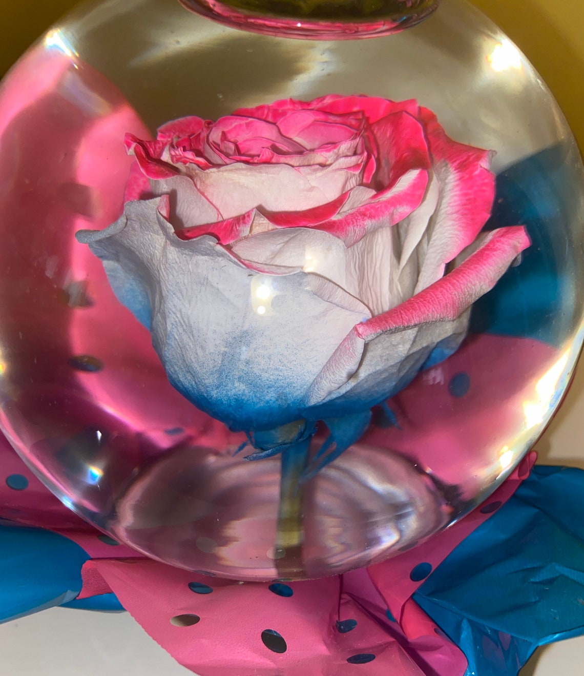 Real Pink & Blue Rose Water Globe Etsy