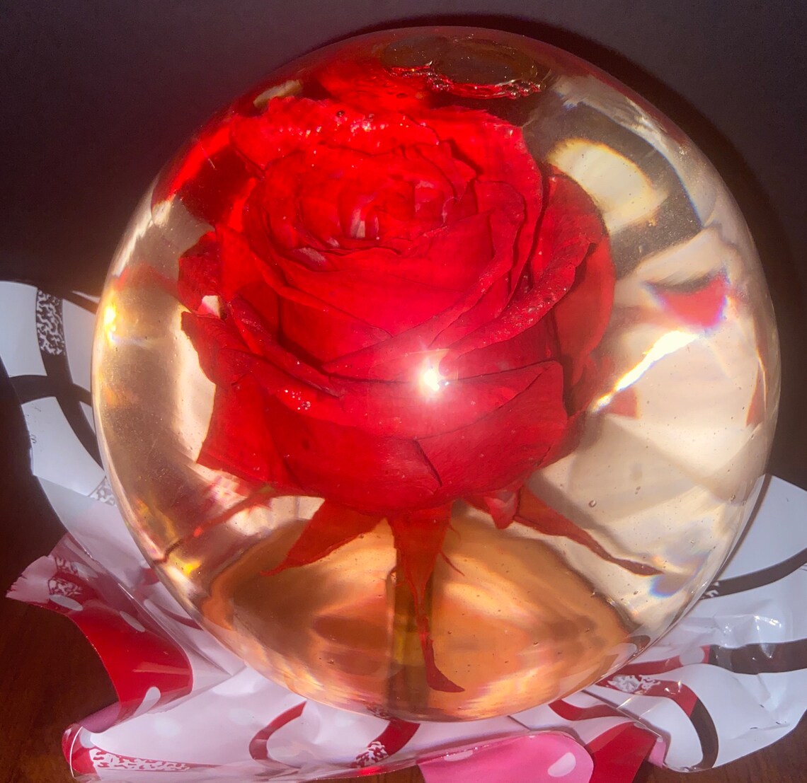 Real Red Rose Water Globe Etsy