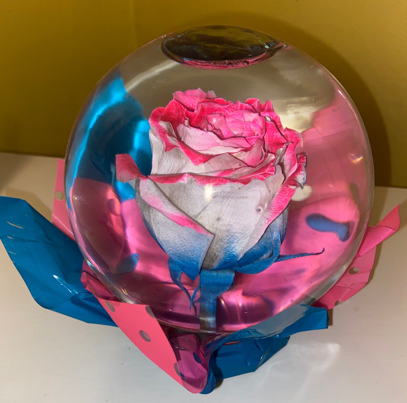 Real Pink & Blue Rose Water Globe Etsy