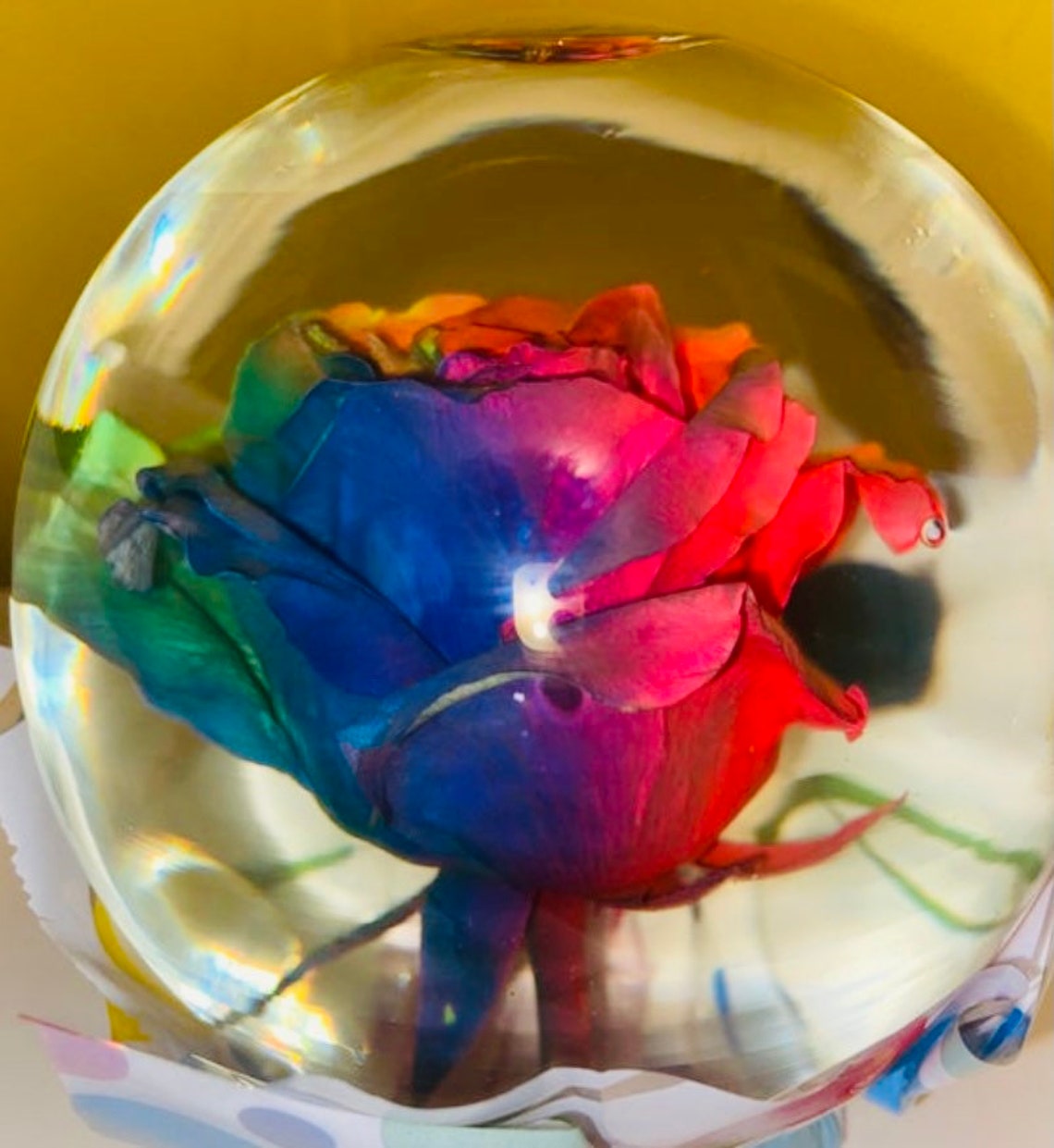 Real Rainbow Rose Water Globe Etsy