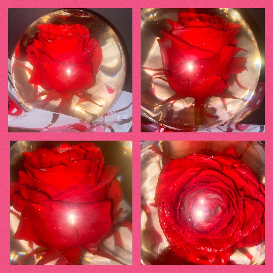 Real Red Rose Water Globe Embellished With Silver Glitter Etsy