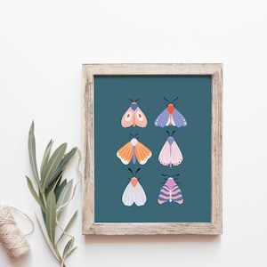 Moth Illustration Art Print, Moth Wall Art image 1