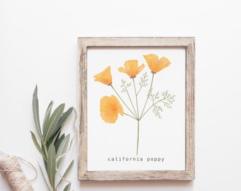 California Poppy Art Print, Botanical Wall Decor