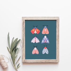 Moth Illustration Art Print, Moth Wall Art