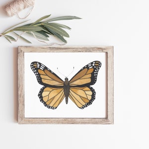 Monarch Butterfly Watercolor, Art Print Wall Decor image 1