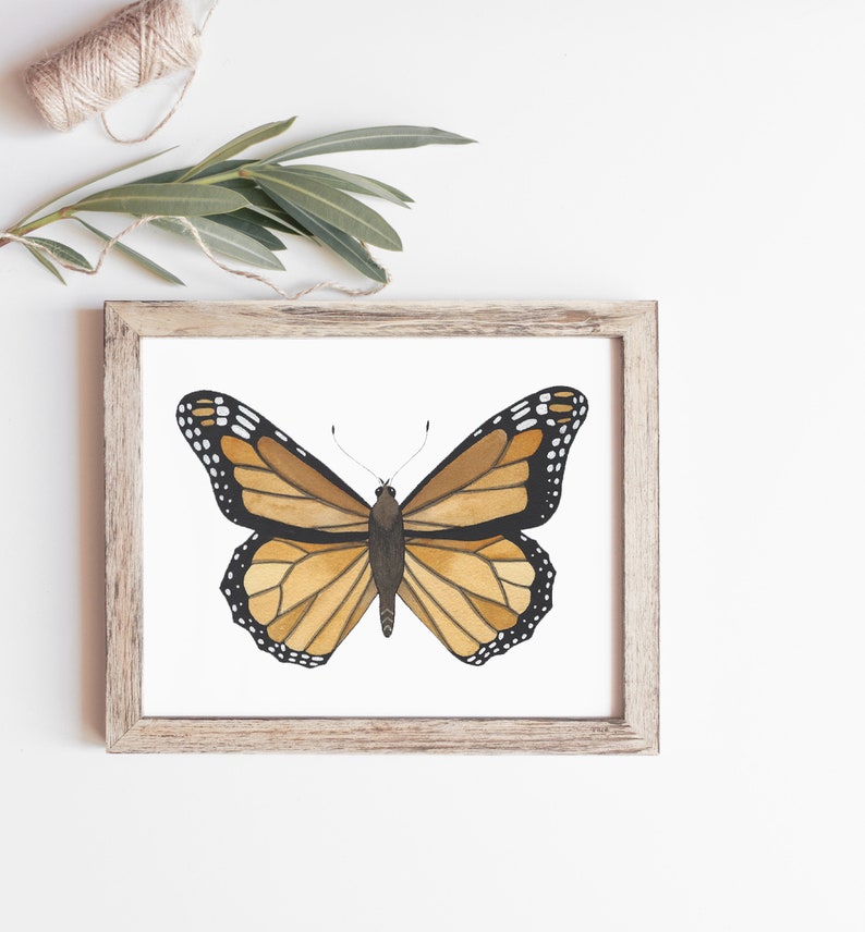Monarch Butterfly Watercolor, Art Print Wall Decor image 1