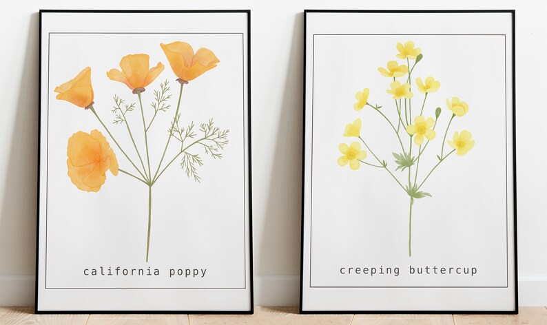 Creeping Buttercup Wall Art, Botanical Art Print image 3