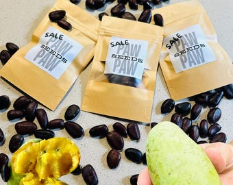 Sweet Paw Paw Seeds for Limited time