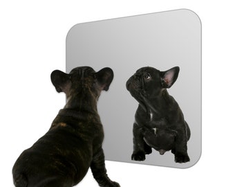 Square Shatterproof Acrylic Safety Wall Mirror With Rounded Corners