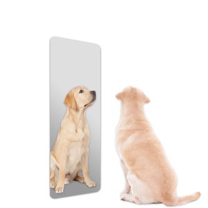 Long Rectangle Shatterproof Acrylic Safety Wall Mirror With Rounded Corners image 5