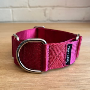 Collier martingale rouge foncé, collier lévrier italien, collier whippet, collier lévrier, collier sans tirage