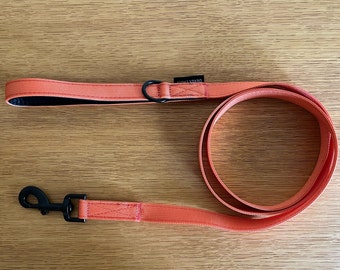 The Orange Leash