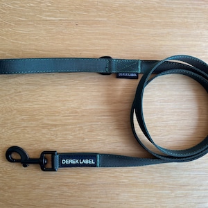 The Forest Green Leash