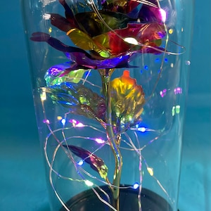 Ewige Rose LED-Licht,Ewige Rose in Glaskuppel,Geschenk für sie,Geburtstag /Hochzeitsgeschenk Jahrestagsgeschenk,Innendekoration,Valentinsgeschenk